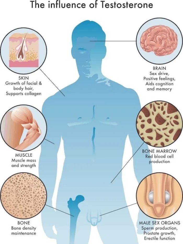 How To Improve Testosterone In Men