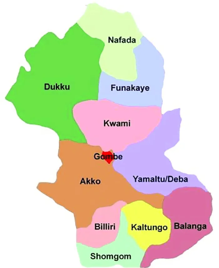 Many feared dead after taking HIV herbal medicine in Gombe