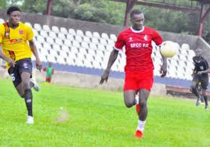 Sunshine Stars Will Come Back Stronger..Nwafor