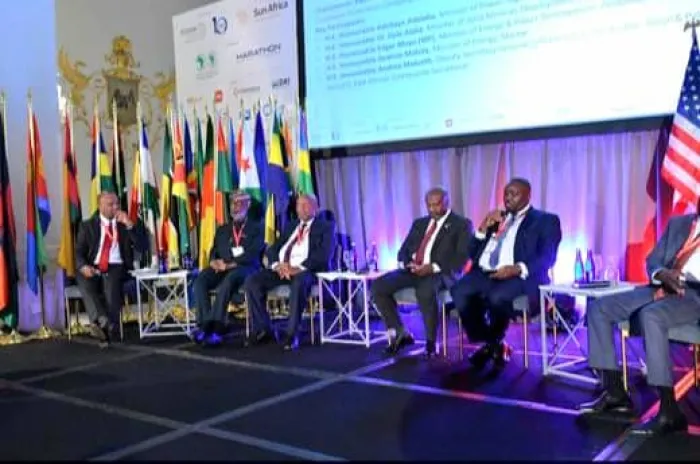 Alake Advocates Mineral Equity To Avoid Debt Trap