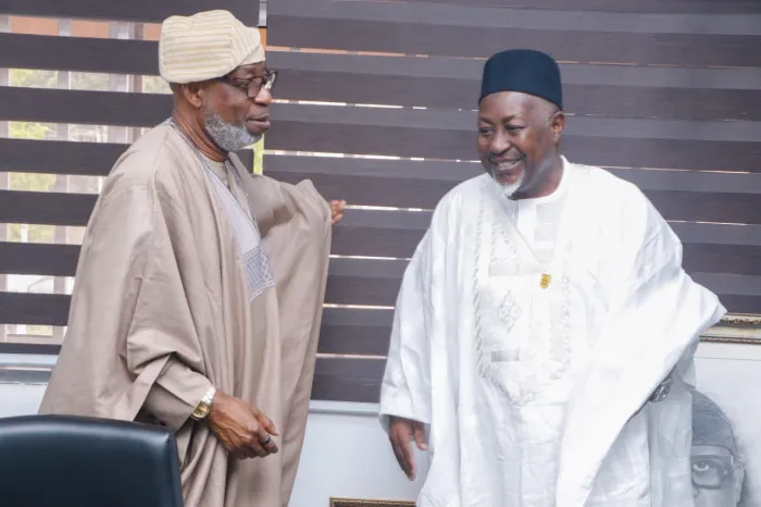 Alake Announces Addition of More Security Agencies to Join Mining Marshals Soon