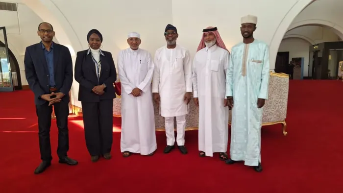 Alake Pledges Mineral Data to Aid Qattari Businessmen Eyeing  Nigerian lithium