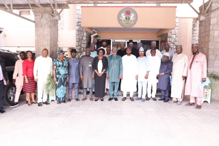 Alake Stresses the Requirement of Local Value Addition Plans for Mining Licenses