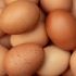 Hardship: Nigerians Lament High Cost of Eggs, Say No Longer Affordable