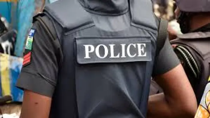 Lagos police recover toy gun from suspected traffic robber