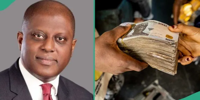 CBN Exempts 16 Electronic Transactions From New Policy