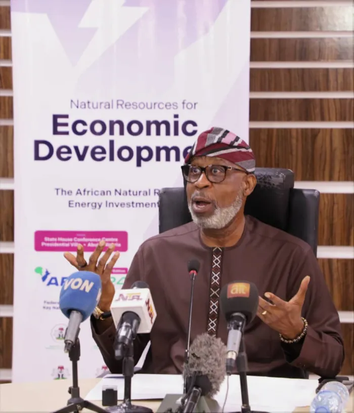 AFNIS Summit to Harness Africa's Mineral Resources for Sustainable Development - Alake