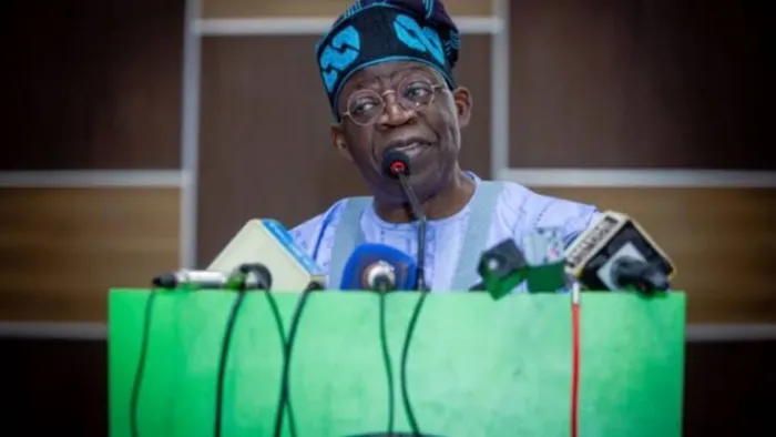 Diaspora Group Hails Tinubu On Anti-Corruption Fight, Other Achievements