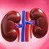 If Your Kidneys Are In Danger, Your Body Will Give You These 8 Signs