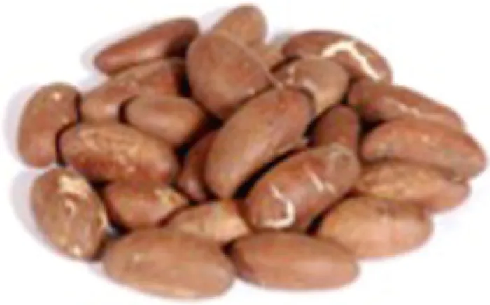 Sexual Benefits Of Bitter Kola For Men And Women