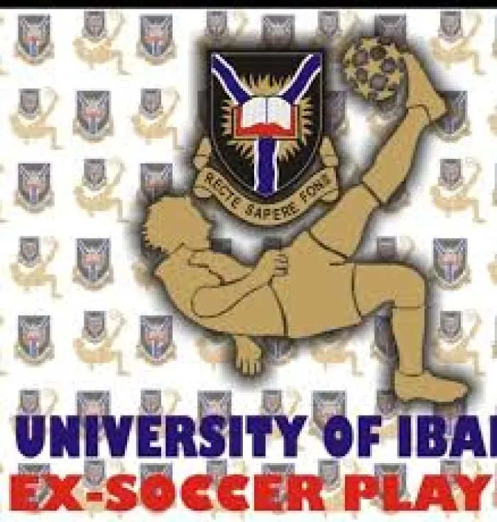 Ex-University of Ibadan Footballers Association Elects New Executive Committee