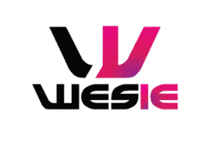 WESIE League Set to Transform Basketball and Ignite Investor Interest in Sports, Says Founder Funke Adeniji