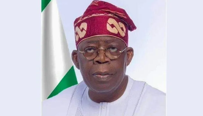 TDF hails Tinubu's bold steps towards improving electricity supply in Nigeria
