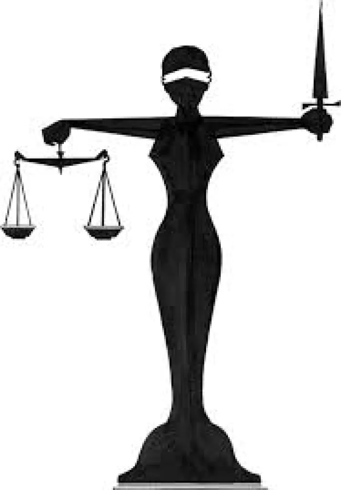 Dele Farotimi Don Blast Naija Judiciary