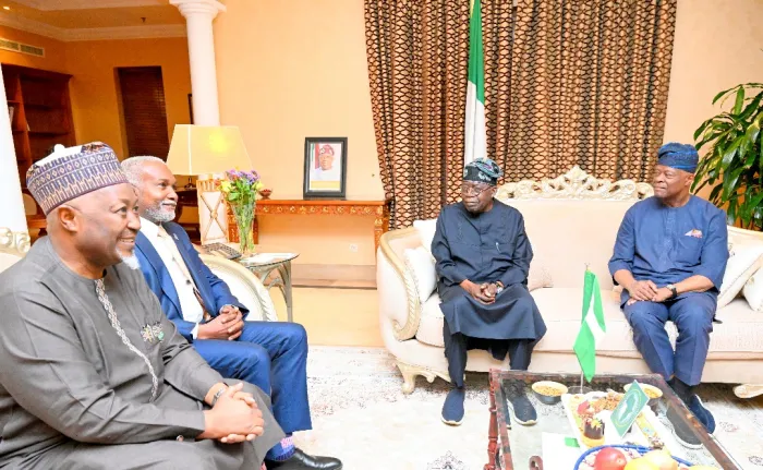 Nigeria Strengthens Africa's Economic Future At AU Summit