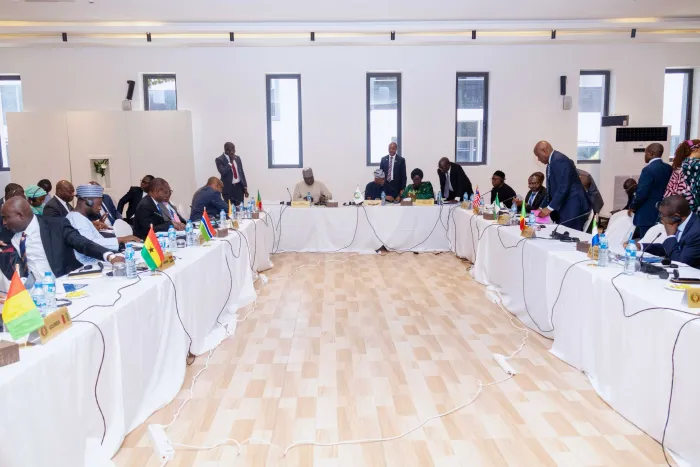 ECOWAS Powers Ahead With Single Currency Launch By 2027