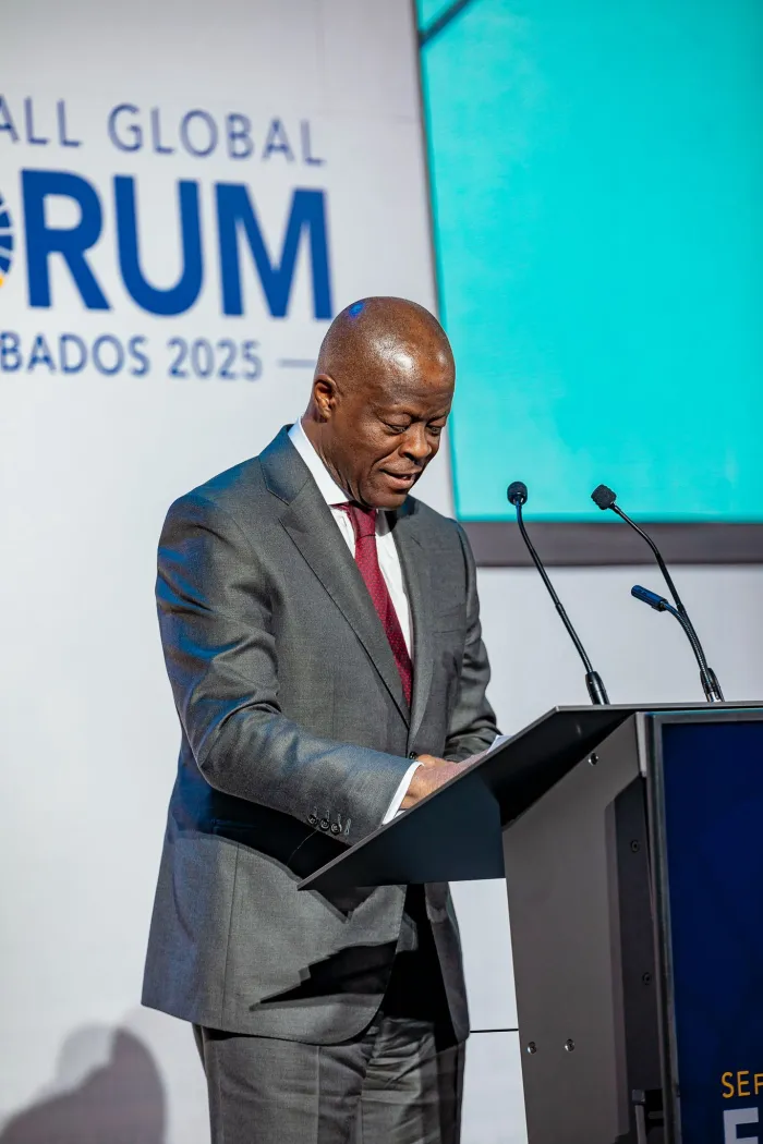 Wale Edun Unveils Nigeria's Energy Investment Opportunities At SEforALL Forum