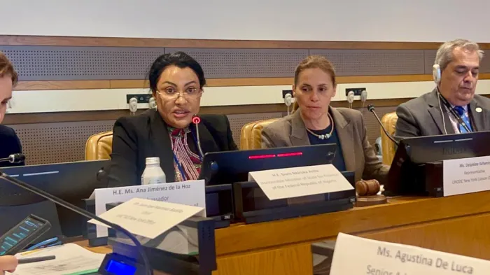 Nigeria Advocates For Global Financial Reform At 2025 UN Meetings