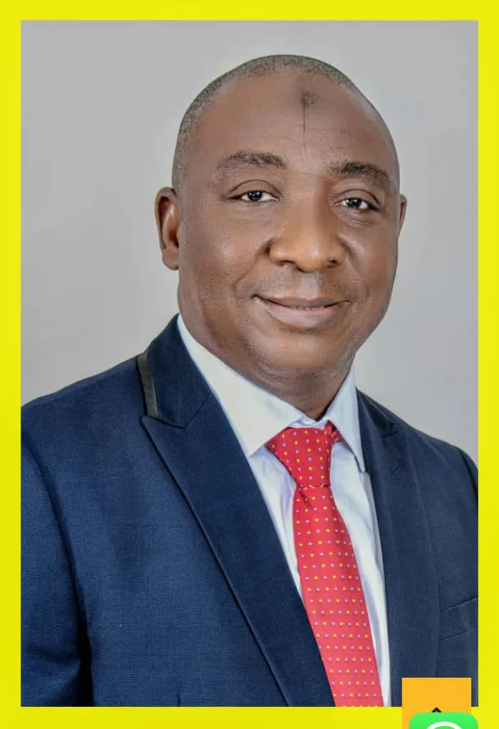 What WAFU B Stands to Gain as Ibrahim Gusau Becomes President