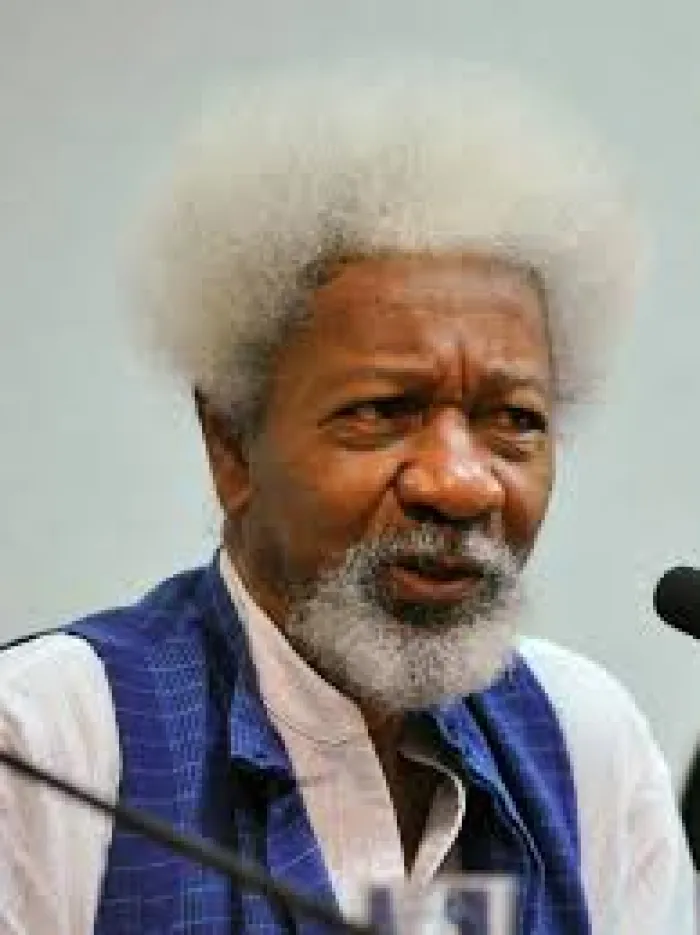 Soyinka Reveals How He Spat on National Honour in Protest Against Military Rule