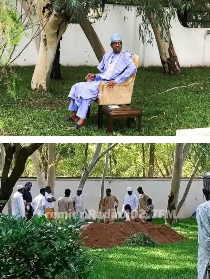 Buhari Might Have Died Long Ago Without Foreign Medical Care — Femi Adesina