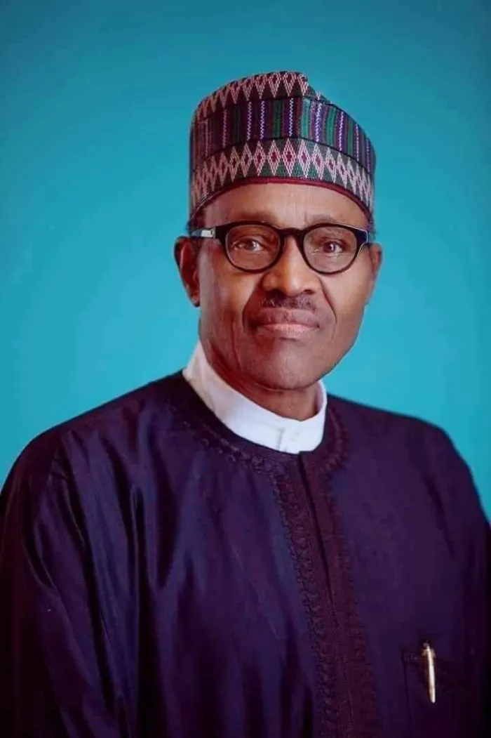 Critique of Renaming University of Maiduguri after Muhammadu Buhari