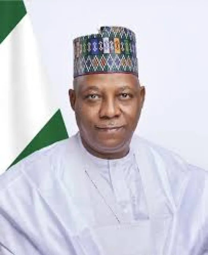 Kashim Shettima as VP: The issues, politics and intrigues