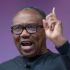 Peter Obi Don Talk Say E Still Dey Loyal to Labour Party, Even As E Join New Opposition Coalition