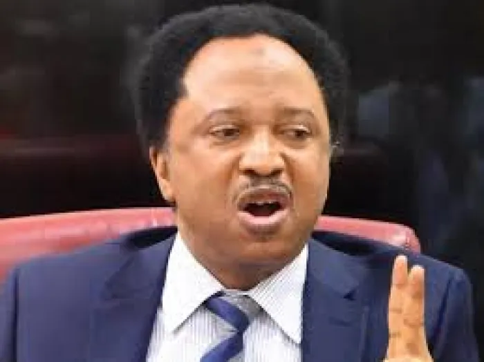Leadership Failure, Not Tinubu, to Blame for Northern Woes — Shehu Sani