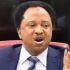 Leadership Failure, Not Tinubu, to Blame for Northern Woes — Shehu Sani