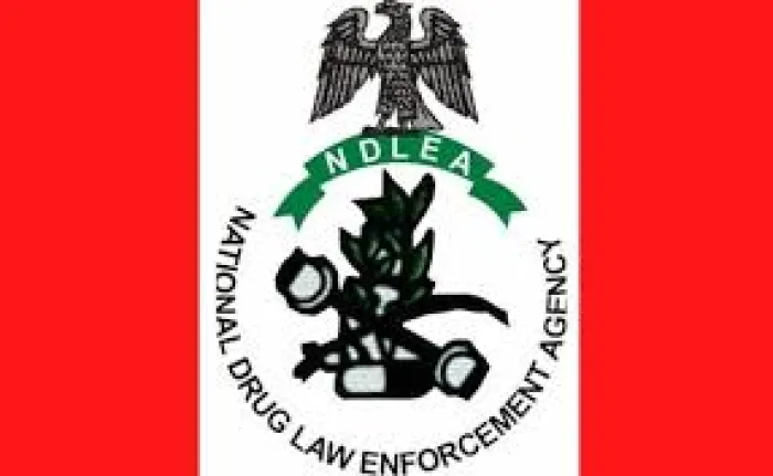 NDLEA Catch Big Drug Cartel: Cocaine, Tramadol Hide Inside Car Mirrors, Lipstick – Many People Arrested Nationwide