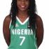 Nigeria Reaping Rich Rewards from Diaspora Talents in Sports