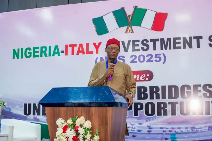 Nigerian-Italy Investment Summit moves to Italy with Rome Business Forum, Aims to Attract Foreign Investment