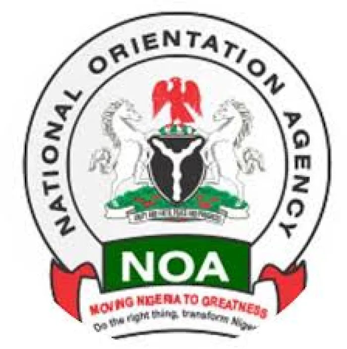NOA DG: Politicians Using Yahoo Boys for Money Laundering, Sabotaging Financial System