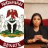 Senate partners with Vivacity Development to curb irregular migration