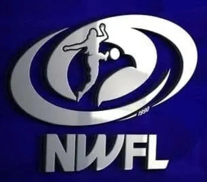 NWFL Celebrates Promotion of Sunshine Queens, Castmog Ladies, Ahudiyannem Queens, and Imo Striker Queens to 2025 Premiership