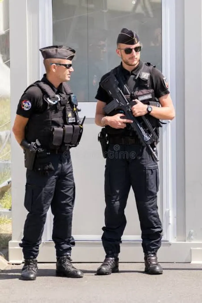 French Police Don Catch Two Men Over ₦149bn Louvre Museum Jewellery Robbery