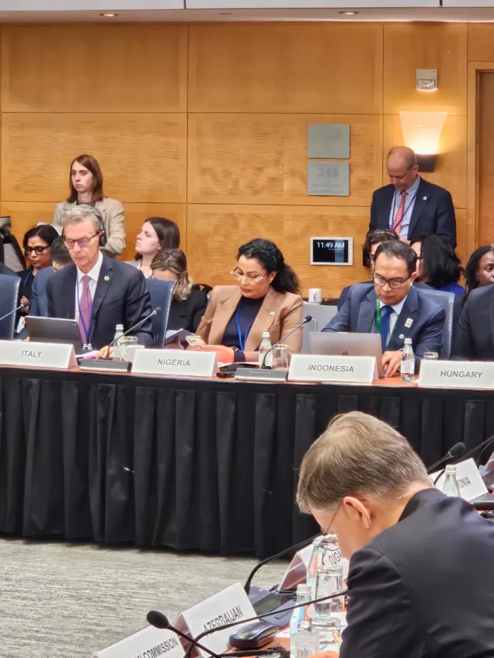 Nigeria Advances Climate Resilience with Innovative Financing Solutions