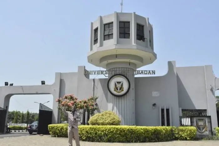 University of Ibadan Tops Nigerian Institutions in 2026 Times Higher Education World Rankings