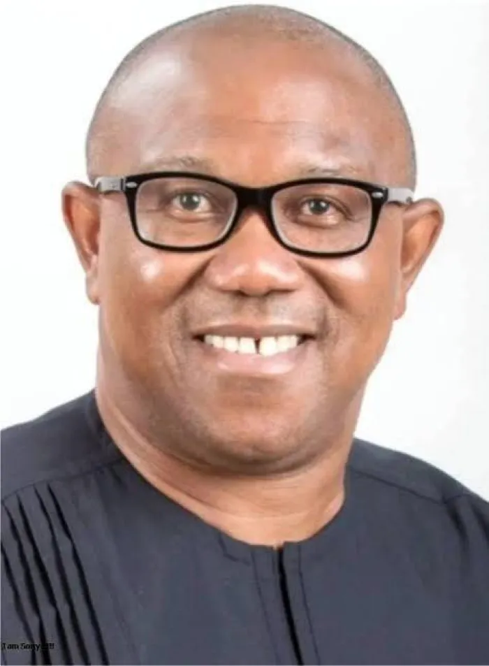 Peter Obi Sends Message of Encouragement to Super Eagles After World Cup Exit