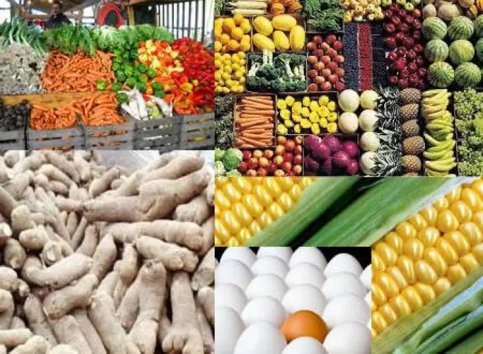 Kogi's Community Gears Up For Transformative Agricultural Show To Boost Food Security