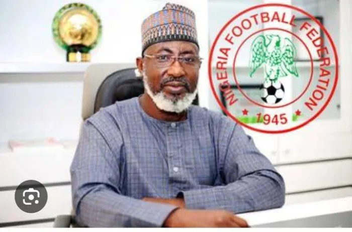 Sanusi Dares Any Coach to Accuse NFF of Interfering in Team Selection