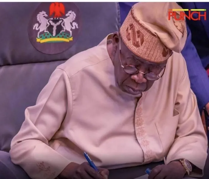 2027 Elections: Ministers May Resign from Tinubu’s Cabinet to Pursue Governorship Ambitions