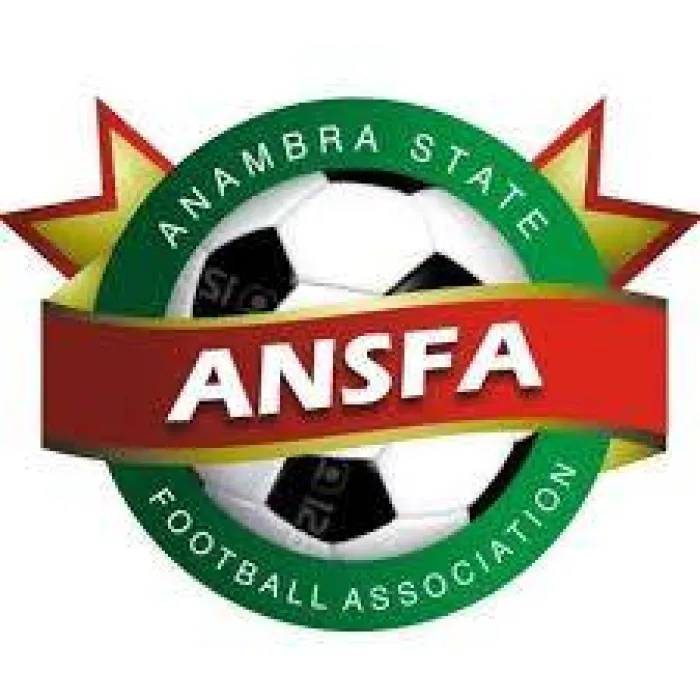 Iloenyosi inaugurates Anambra FA standing committees, charge members to bring fresh ideas