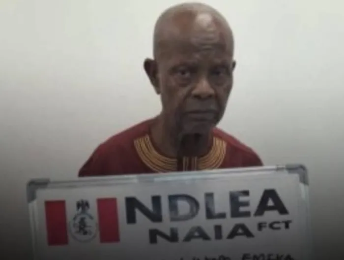 NDLEA Arrest 74-Year-Old Grandpa for Abuja Airport With 11kg Cocaine Hidden for Food Items