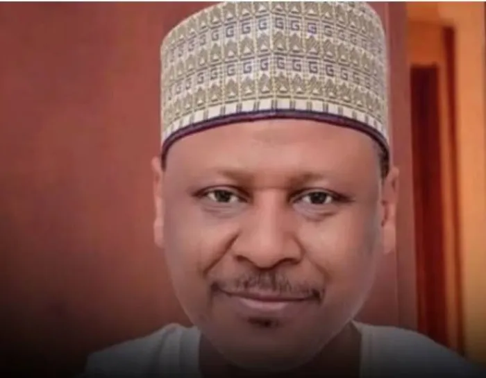 Nigeria Gaining More Global Respect Under Tinubu, Says Information Minister Idris