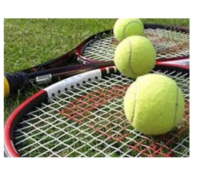 Ikoyi Club ready for Leadway Tennis Clinic, Tournament