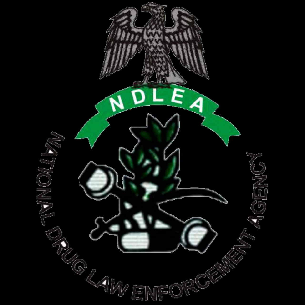 NDLEA bursts drug abuse competition at wedding party arrests groom, 25 others