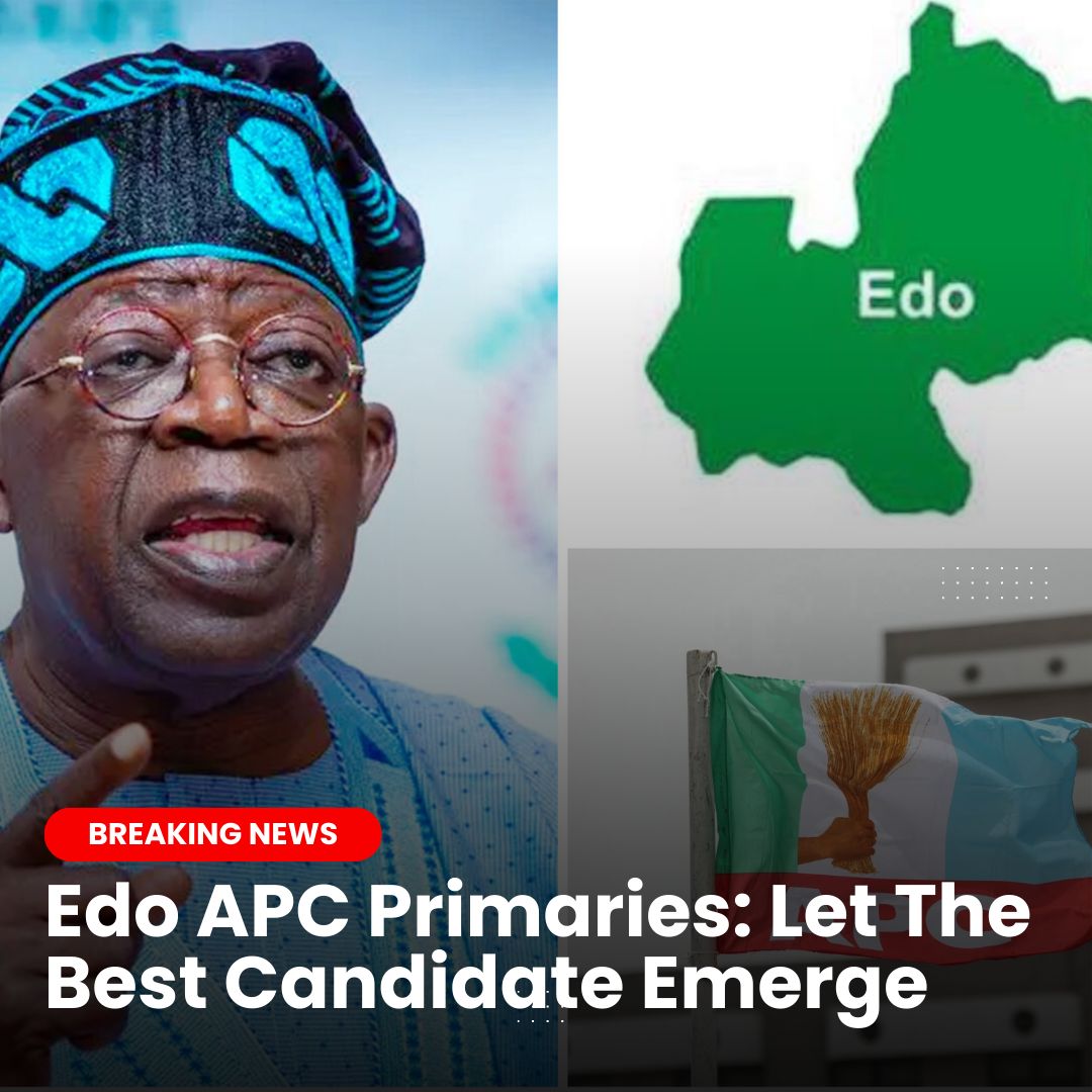 Edo APC Primaries: Let Excellence Prevail