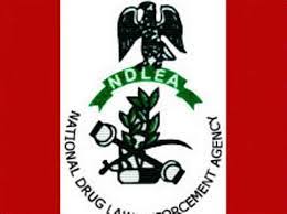 NDLEA Arrests Hair Stylist, Dispatch Rider Selling Drug-Lace Chin-Chin To Students